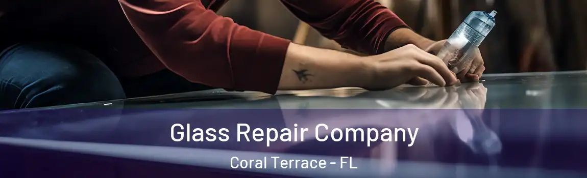  Glass Repair Company Coral Terrace - FL